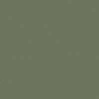 Mid Green Sage