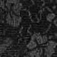 Tapestry Broderie Black