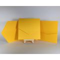 Double Sided Plain Pocketfolds