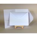 Standard White Pocketfolds