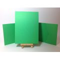 Double Sided Plain Pocketfolds