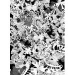 Butterfly 2