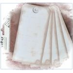 Large Tags - Shabby (5 pack)