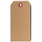 Single Large Kraft Tag - 160 x 79mm