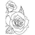 Sketched Rose - KaiserCraft Embossing Folder