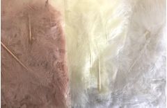 Eleganza Craft Feathers 8g Bag - Available in a range of colours