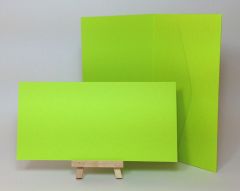 Olin Colours 240gsm 210x105mm POCKETFOLDS