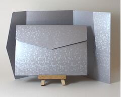 Comet and Precious Pearl Texture 178x128mm Pocketfolds