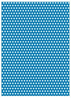Polka 12