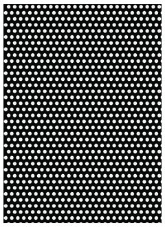 Polka 14