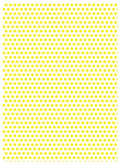 Polka 17