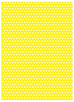 Polka 18