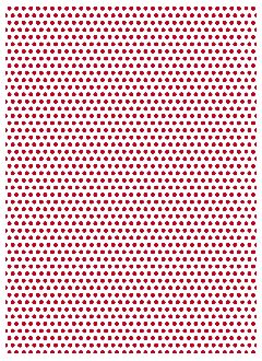 Polka 19
