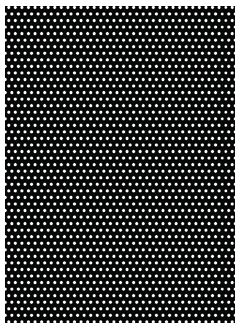 Polka 4