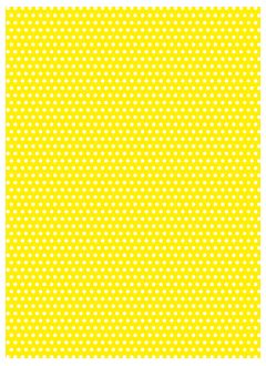 Polka 8