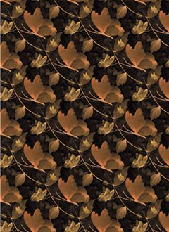 Butterfly 6