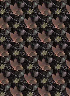 Butterfly 7