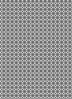 Abstract 12