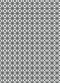 Abstract 13