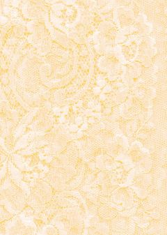 Lace 7