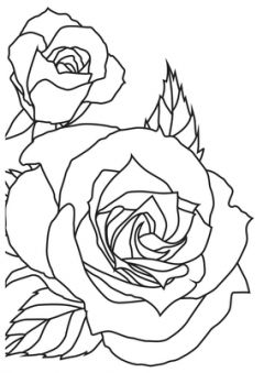 Sketched Rose - KaiserCraft Embossing Folder