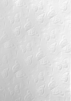 Butterfly - A4 White Embossed Card