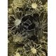 Flower Montage