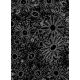 Black & White Daisies