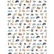 Animals1