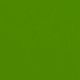 Grass Green (Matt 65)