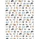 Animals1
