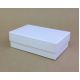 100x60x30mm Rectangle 2 part base and lid