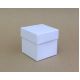 50x50x50mm Square 2 part base and lid