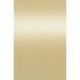 Butterscotch (Precious Pearl)