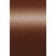 Bronze (Stardream)