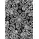 Lace 12