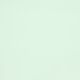 (1228) Pastel Green (Keaykolour 300gsm)