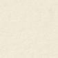 Warm White (Matt 49) -100gsm