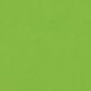 Pistachio 240gsm (Olin)