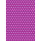 Magenta Double Dot