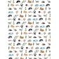 Animals1