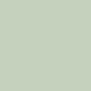 (905) Kiwi 250gsm